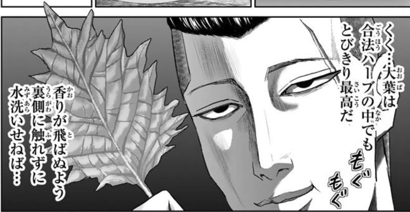 紺田照の合法レシピ