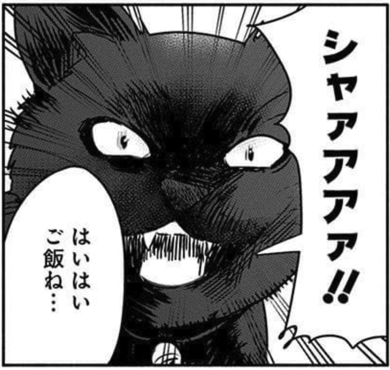 魔女は三百路から