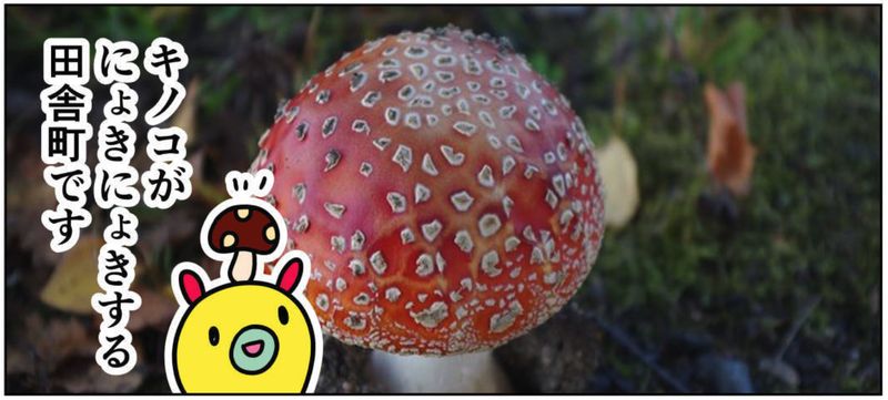 みじんことオーマの世界旅暮らし