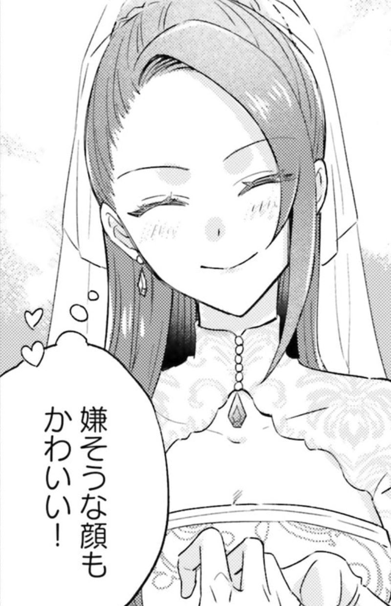 らすぼす魔女は堅物従者と戯れる