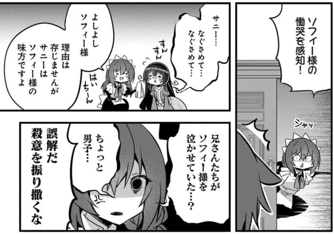 転生前は男だったので逆ハーレムはお断りしております 完璧淑女への道 