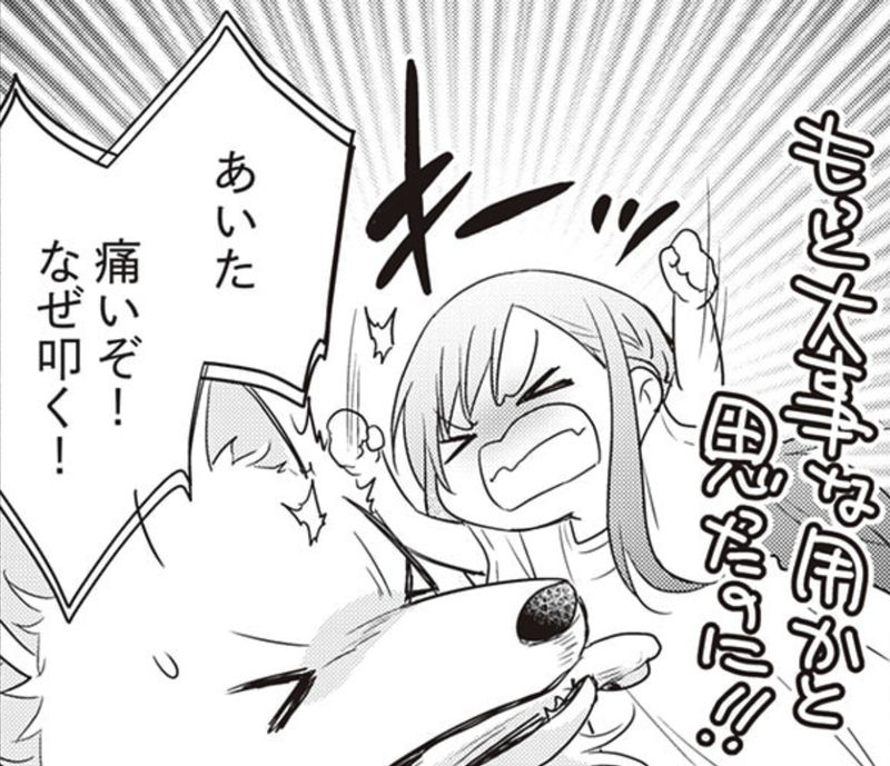 転生幼女。神獣と王子と、最強のおじさん傭兵団の中で生きる。